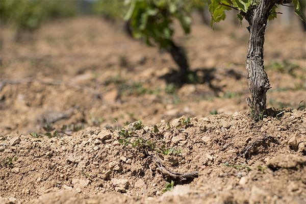 Sol La Roche de Culles